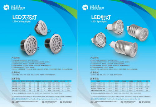 惠州永暉光電節(jié)能燈 產(chǎn)品畫冊 攝影設(shè)計(jì) 東莞比高品牌設(shè)計(jì)創(chuàng)意公司 代表作品 東莞標(biāo)志設(shè)計(jì) 東莞畫冊設(shè)計(jì)目錄 東莞品牌形象 東莞攝影公司 東莞vi設(shè)計(jì) 東莞logo設(shè)計(jì)